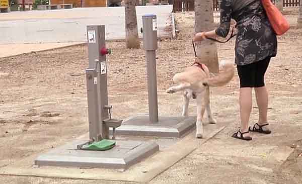 δημόσιες σκυλοτουαλέτες